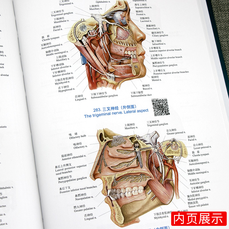 人体解剖彩色学图谱第三版第3版新版郭光文3D搭奈特医用医学生解剖书外科全彩局部系统实用解剖彩绘本科大学教材二版升级人民卫生-图1