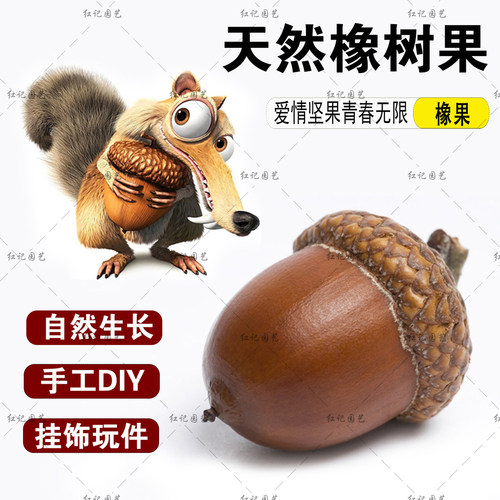 橡果饰品大橡子果橡树果橡实带帽幼儿园儿童装饰摆件挂饰小物件 - 图0