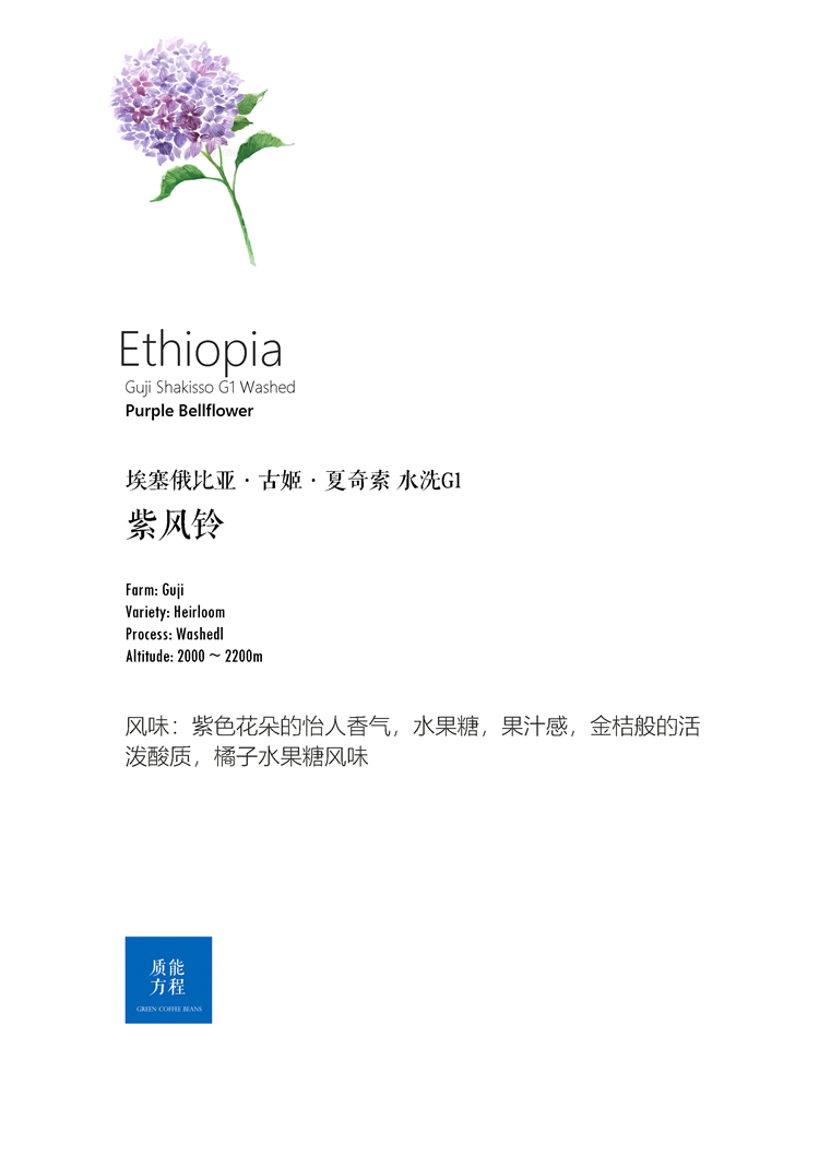 咖啡豆下单烘焙 埃塞俄比亚Ethiopia古姬Guji 紫风铃 水洗G1 浅烘 - 图0