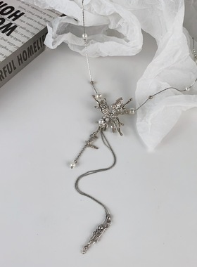 珍珠蝴蝶项链长款毛衣链