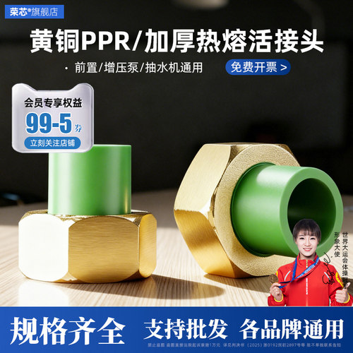 前置过滤器活接头纯铜1寸转4分6分20热熔25PPR32管热水器配件大全 - 图0