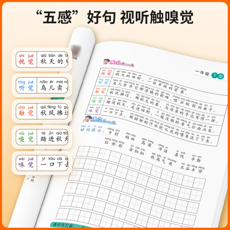 一年级下册看图说话写话人教版小学一二年级语文专项训练句子训练阅读理解专项训练书教材同步练习册课外练习题每日一练天天练上册 - 图1