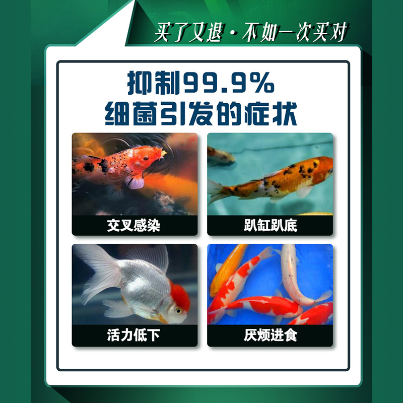 日本碧柔空鱼药锦鲤交叉感染橙粉金鱼合池缸趴缸充血烂身水质稳定 - 图0