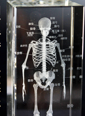 水晶人体骨骼模型医生纪念礼品