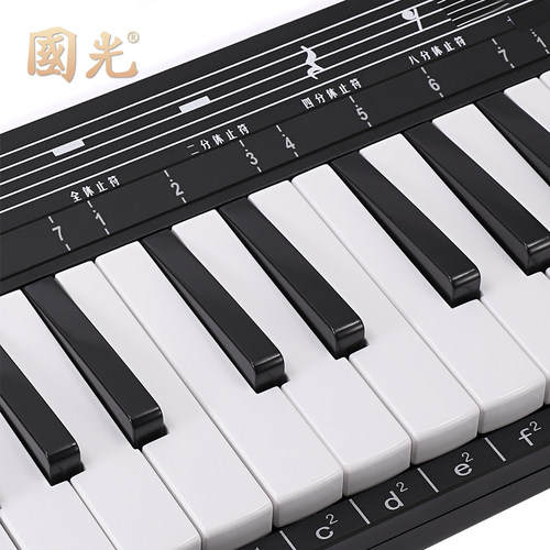 国光全乐理口风琴37键小学生专用专业演奏级口吹琴儿童教学乐器 - 图2