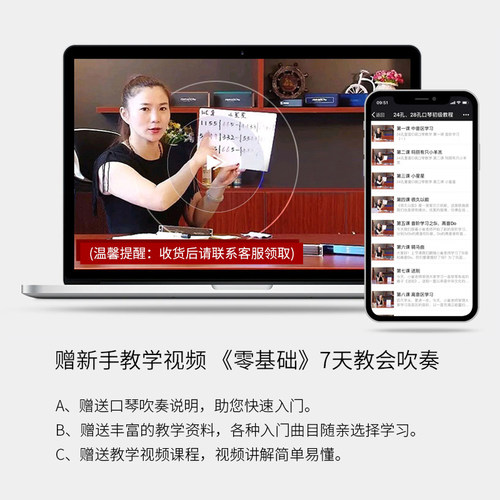 正品上海国光口琴24孔复音C调初学者学生入门28孔重音专业演奏级 - 图2