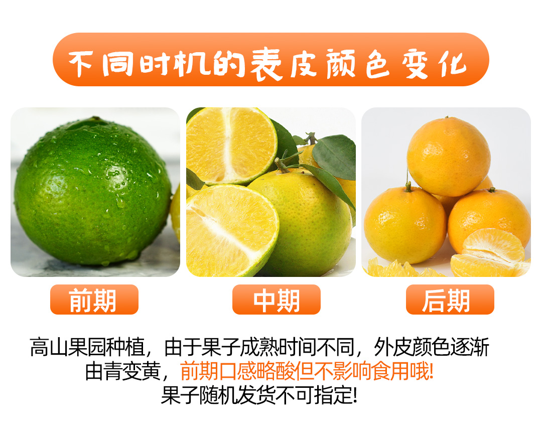 纯香果旗舰店广西皇帝柑水果桔子新鲜9斤当季蜜橘沃贡柑橘子青皮桔甜整箱包邮1