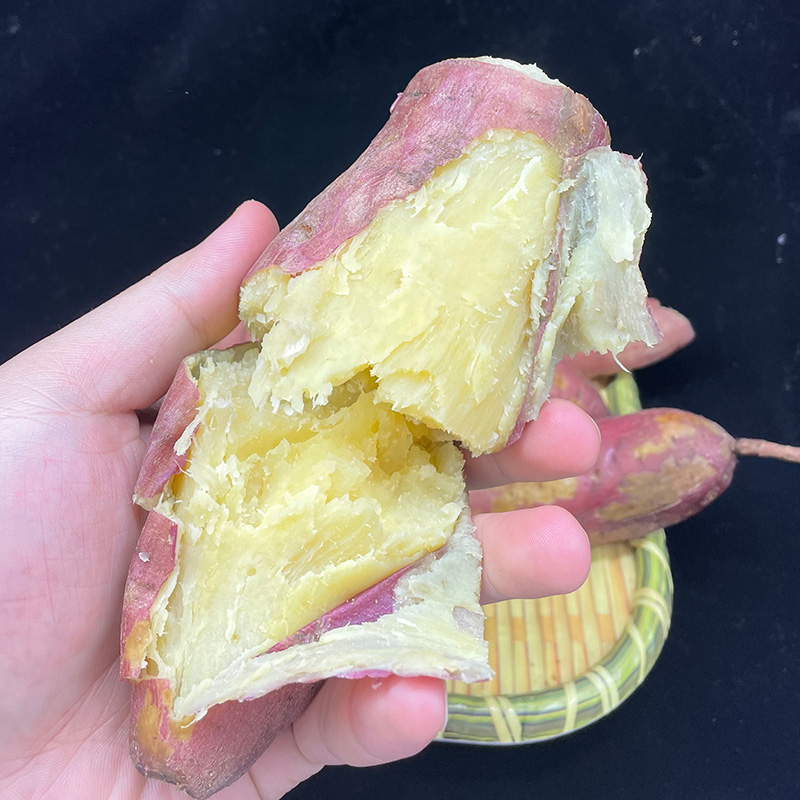 纯香果旗舰店陕西板栗红薯新鲜地瓜5斤当季蜜薯番薯整箱烤红薯板栗薯甜包邮102