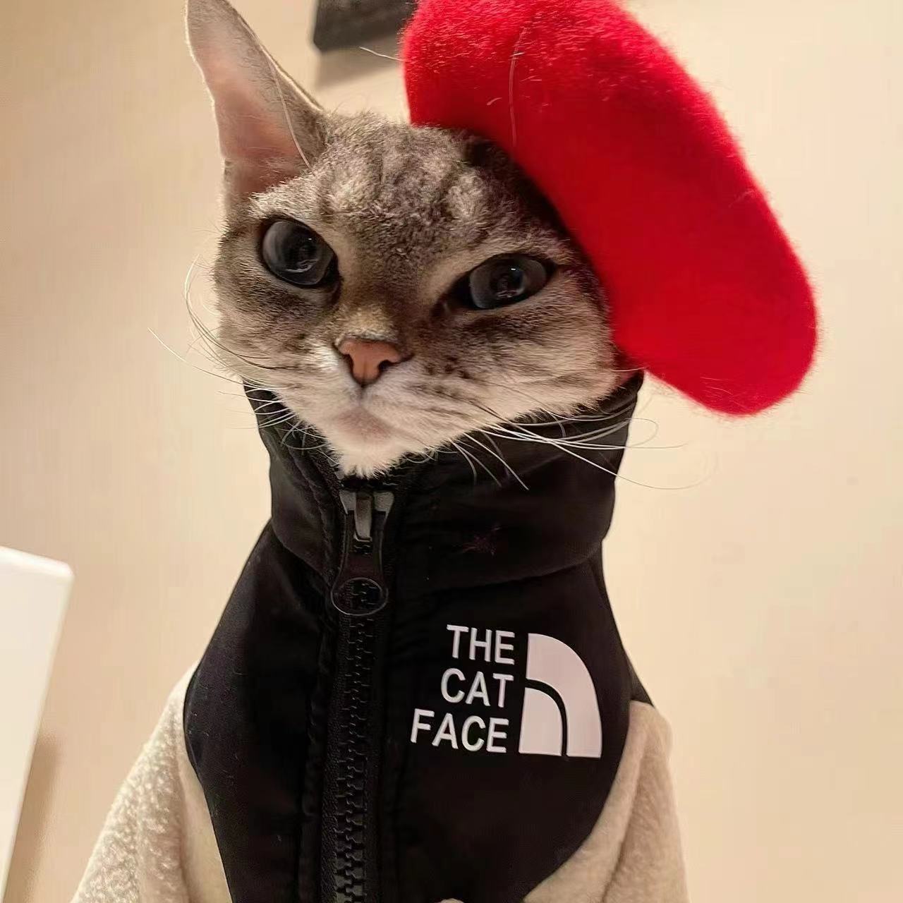 无毛猫衣服斯芬克斯德文柯尼斯阿比冬季摇粒绒卫衣外套 - 图0