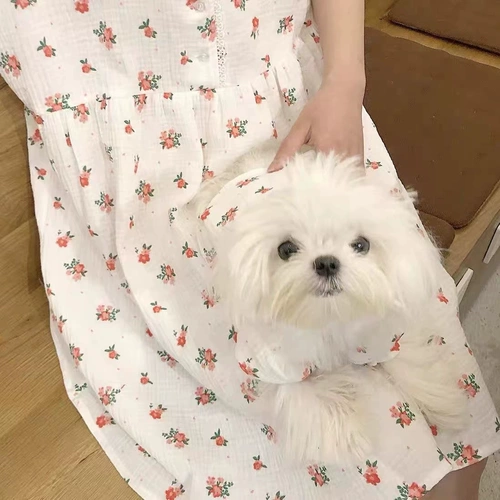 Цветочное платье Pet Clothing Malzis Bumi Dog Одежда кошка одежда кошка зима милая взима