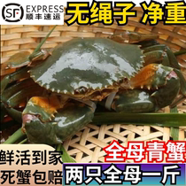 Fresh green crab extra-large wild red paste crab crab crab yellow oil crab Shun Feng 1 catfish 2 only