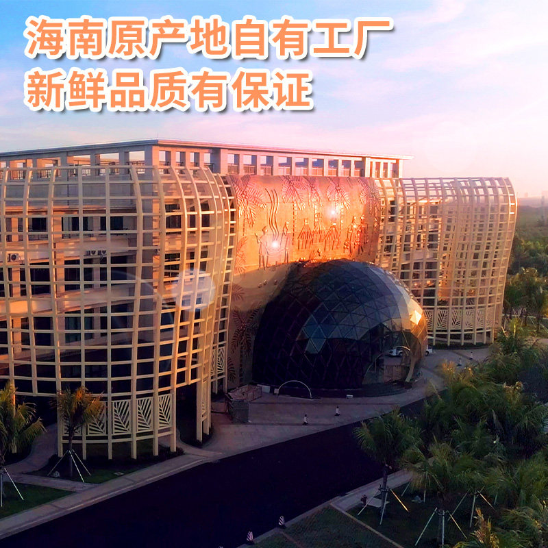 春光海南特产三亚椰子春光30年货国货大礼盒饼干糖果椰子水椰汁,淘宝优惠券,粉丝福利购,淘宝优惠卷