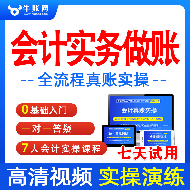 会计实务做账教程手工做帐实训网课视频实操出纳初级报税教学外账-图3