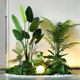 High-end simulated green plants combined with tropical plants