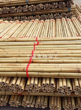 装饰竹子竹竿防腐上漆白竹紫竹青竹毛竹隔断园艺篱笆竹围栏栅栏