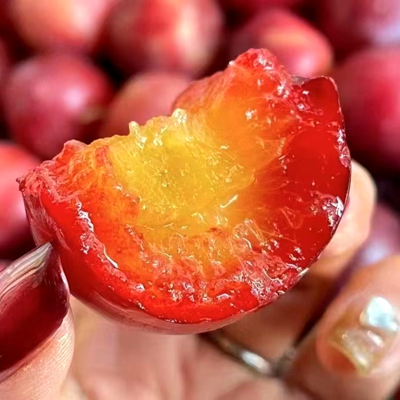 智利进口樱桃李5J级别吉制礼盒纯甜李子樱桃蜜甜新鲜水果顺丰包邮,淘宝优惠券,粉丝福利购,淘宝优惠卷