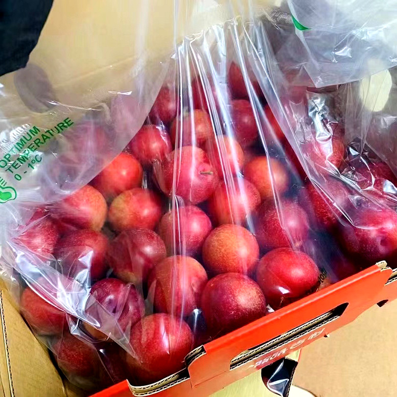 智利进口樱桃李5J级别吉制礼盒纯甜李子樱桃蜜甜新鲜水果顺丰包邮,淘宝优惠券,粉丝福利购,淘宝优惠卷