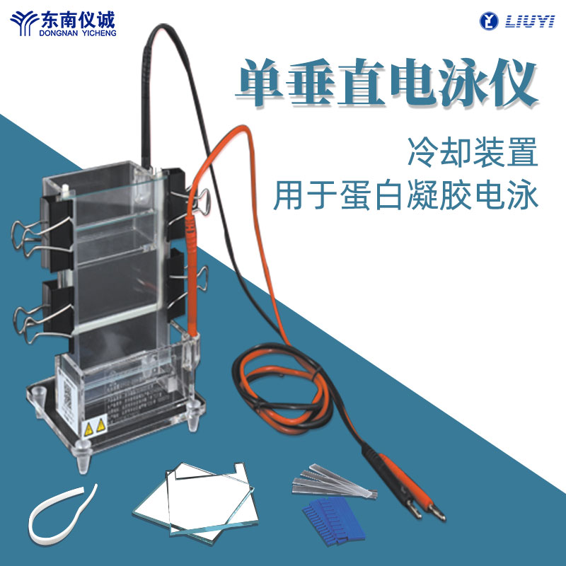 六一单垂直电泳仪DYCZ-22A实验室小型蛋白凝胶电泳DYCZ-23A电泳槽 - 图0