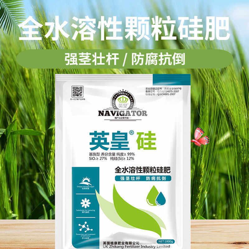 英国进口颗粒硅肥冲施肥果树蔬菜绿植水稻强茎壮杆减少病害水溶肥,淘宝优惠券,粉丝福利购,淘宝优惠卷