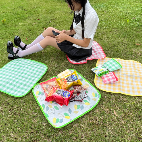 折叠坐垫防水防潮户外露营草坪垫子春游神器便携野餐垫音乐节草地 - 图1