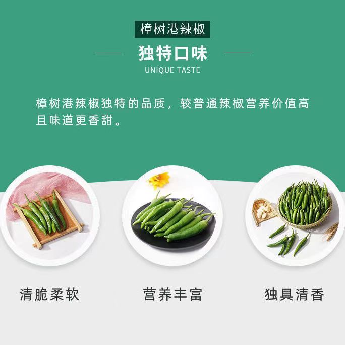 正宗樟树港辣椒椒农自种精品新鲜现摘湘菜下饭菜湖南湘阴特产礼品 - 图2