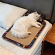 Cat and dog mat and ice pad for cooling in all seasons