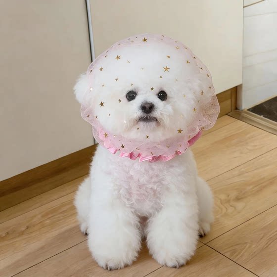 Dog anti-accidental veil, anti-peeling mask, comfortable and breathable muzzle for small and medium-sized dogs, puppy anti-licking net cover