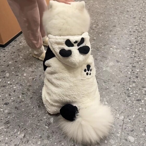 Border Collie Dog Clothing Panda Medium and Large Dog Labrador Winter Samoyed Clothing Pet Big Dog Autumn and Winter Clothing
