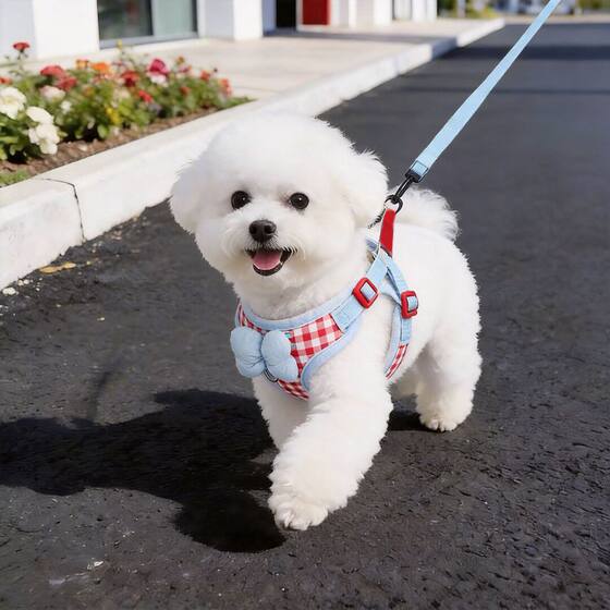 Dog leash harness for outdoor use, breathable, anti-breakaway, adjustable, cute pet collar for small and medium-sized dogs, dog leash