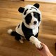 Dog Clothing Border Collie Pet Autumn and Winter Thickened Warm Cute Panda Clothing Medium and Large Dog Golden Retriever Samoyed Clothing