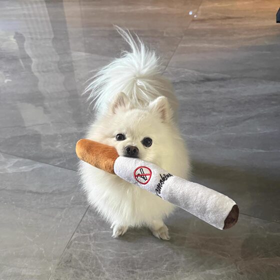 Dog plush toy simulated cigarette self-pleasure to relieve boredom, teeth grinding and bite-resistant stick puppy golden retriever small, medium and large dog toy