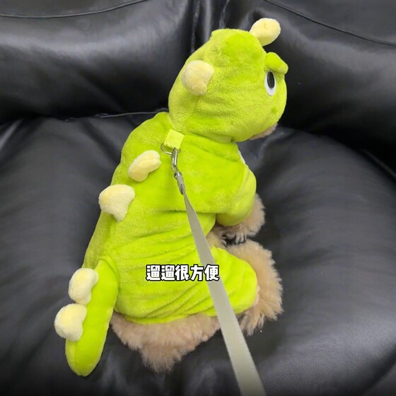 Dog clothes autumn and winter new cute dinosaur costume Teddy Bichon Pomeranian small puppy warm pet four-legged clothing