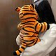 Cat Clothes Autumn and Winter Little Tiger Warm Jumpsuit Ragdoll Blue Cat British Short Pet Dog Funny Four-legged Clothes