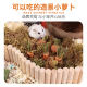 Hamster teething stick snacks golden bear carrot rabbit grindstone grass cake special toys for teething landscaping teething stick