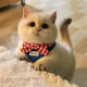 Cute cat saliva towel pet dog neck scarf bow tie bib small dog puppet blue and white teddy bear decoration