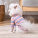 Cute spring and summer rainbow clothes for cats and dogs