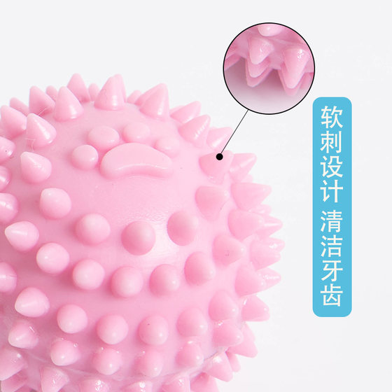 Dog toys chewable teething sticks for puppies Teddy puppies to relieve boredom Corgi small dogs chewing gum balls pet supplies