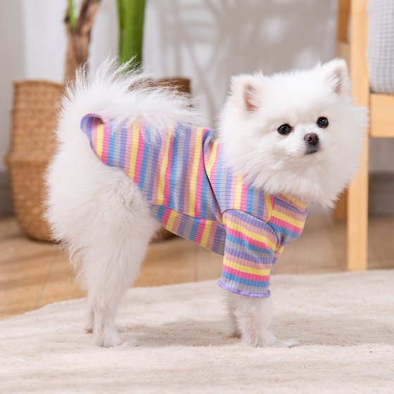 Cute spring and summer rainbow clothes for cats and dogs