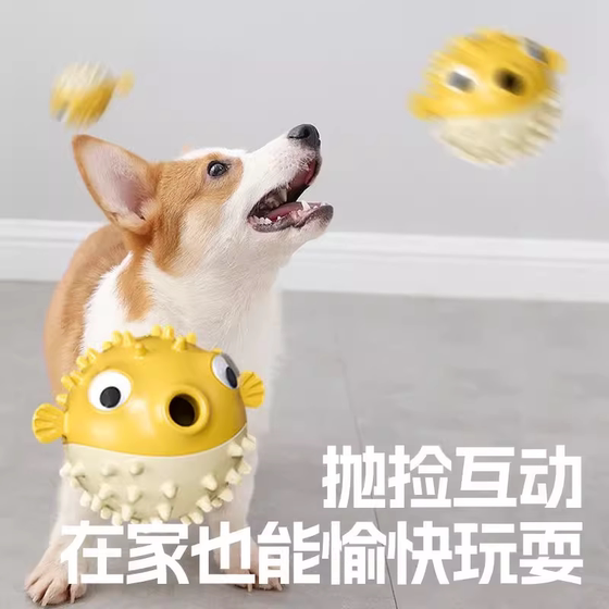Dogs make noises and leak food balls. Bouncing fish toys are self-stimulating and relieve boredom. They consume physical energy. Puppy Teddy Pomeranian grinds teeth.