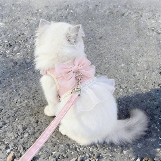 Fairy style cat traction rope to prevent break-away when going out, special princess dress, vest-style chest and back, cat leash, cat walking clothes