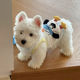 Pet dog clothes spring and summer new cute rabbit doll sling cat Teddy Bichon small dog clothing