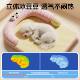 Dog kennel summer ice silk mat small dog Bichon Frize Teddy Yorkshire sleeping all seasons removable and washable cat kennel