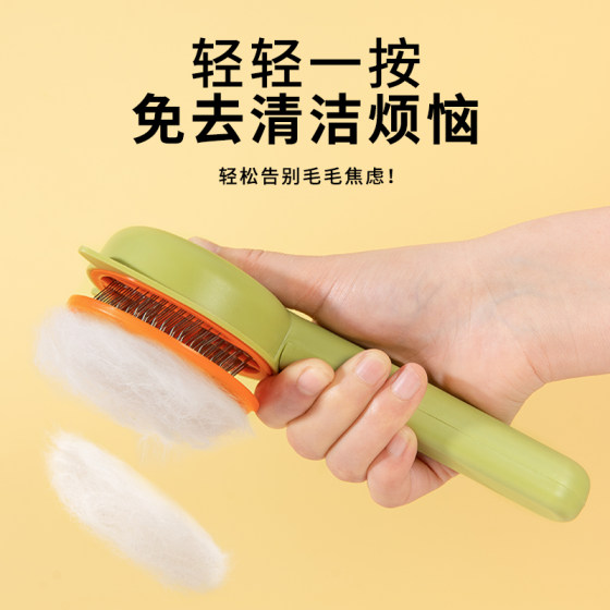Cat comb and toiletries five-piece set