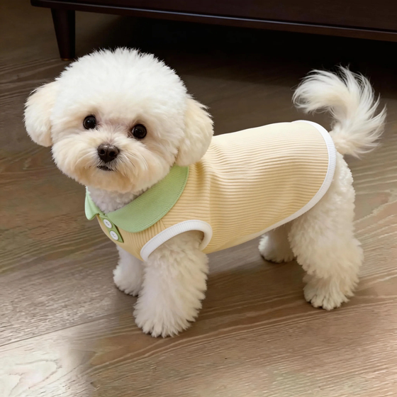 Cat clothes anti-shedding spring and summer thin vest gold gradient dog dopamine anti-dirty lapel POLO shirt