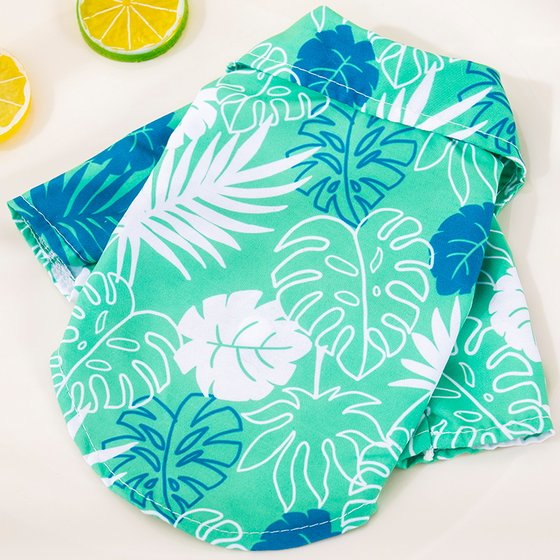 Summer French Dou Autumn and Winter Shirts Cat and Dog Clothes