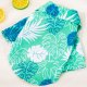 Summer French Dou Autumn and Winter Shirts Cat and Dog Clothes