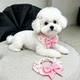 Dog saliva bandana for medium and large dogs Bichon Schnauzer neck scarf bow collar decoration accessories