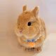 Rabbit scarf cute braided saliva scarf pet collar bib lop-eared rabbit dwarf rabbit cat and dog decoration