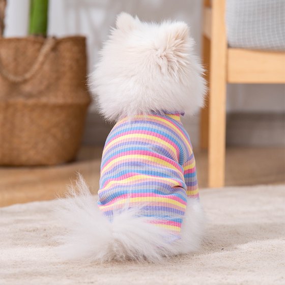 Cute spring and summer rainbow clothes for cats and dogs