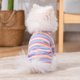 Cute spring and summer rainbow clothes for cats and dogs